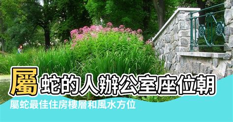 屬蛇方位|屬蛇最佳住房樓層和風水方位